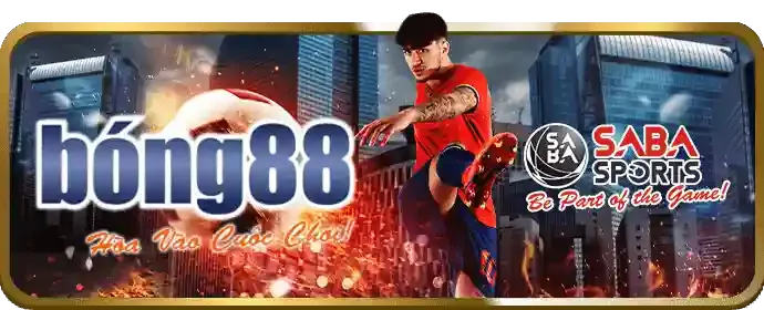 Hoàn trả cược 555win55